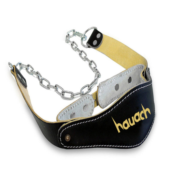 Head Harness