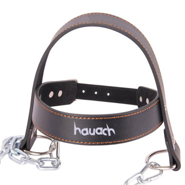 Head Harness...